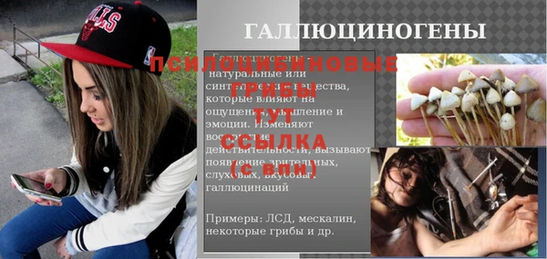 гашик Медвежьегорск
