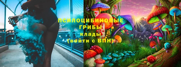 гашик Медвежьегорск
