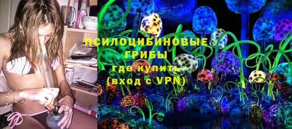 шишки Михайловка