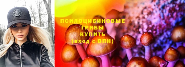 ешки Медногорск