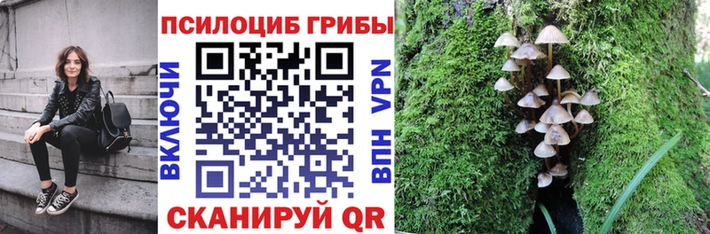 Галлюциногенные грибы Psilocybine cubensis  как найти наркотики  Лакинск 